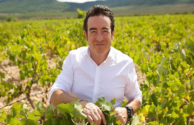 Alicante Premium Wine - Tour Privado - Foto 3